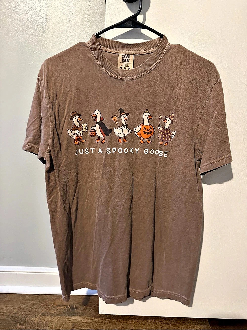 Comfort Colors Spooky Goose Graphic Short Sleeve Tee in Brown